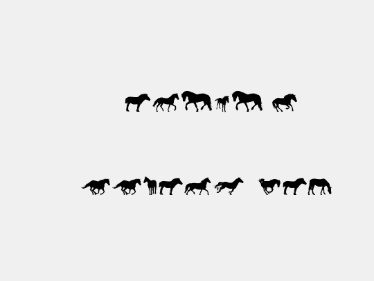 DJ Horses 1