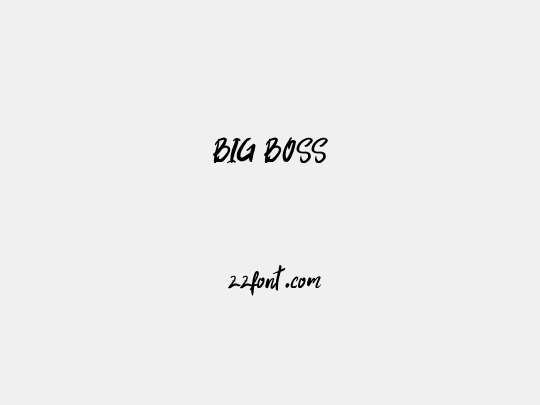 BIG BOSS