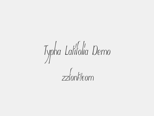 Typha Latifolia Demo