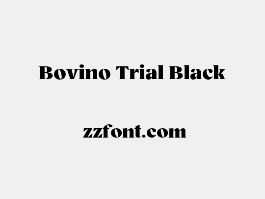 Bovino Trial Black
