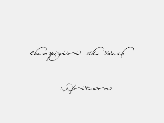 Champignon Alt Swash