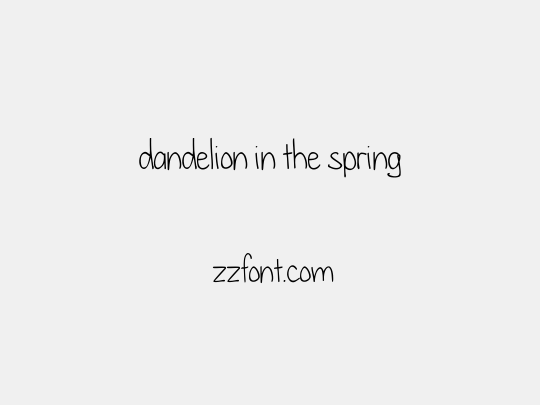 dandelion in the spring