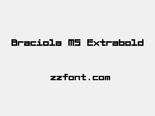 Braciola MS Extrabold