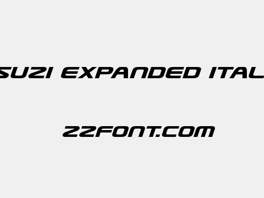 Usuzi Expanded Italic