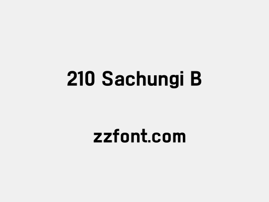 210 Sachungi B