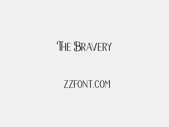 The Bravery