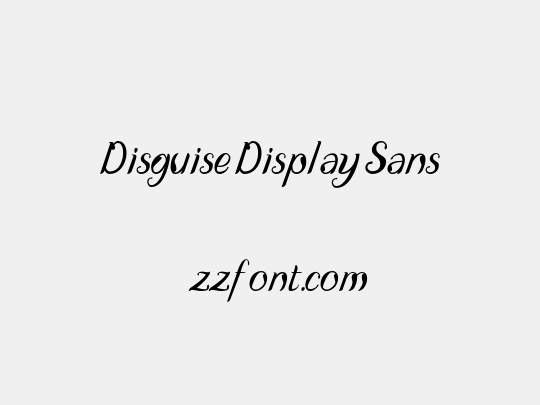 Disguise Display Sans