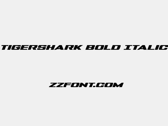 Tigershark Bold Italic