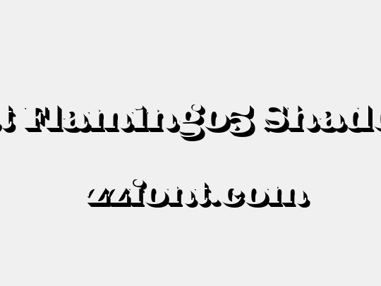 Fat Flamingo5 Shadow