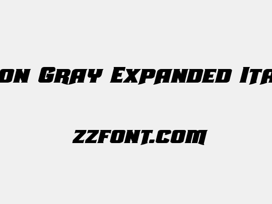 Union Gray Expanded Italic
