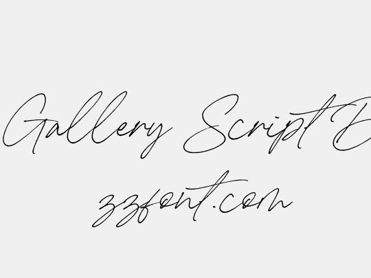 Carneys Gallery Script Demo Ver