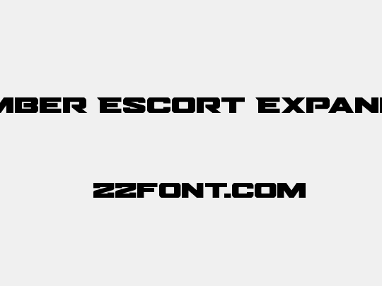 Bomber Escort Expanded