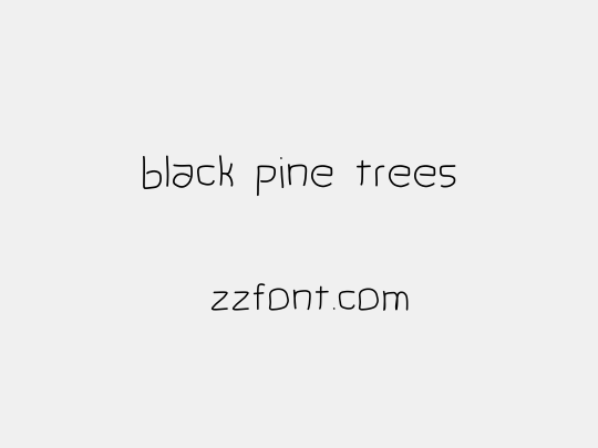 black pine trees