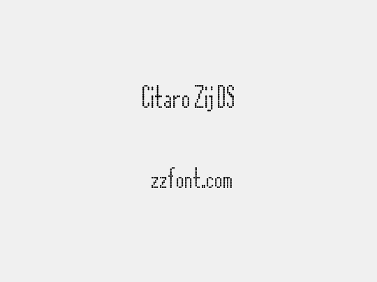 Citaro Zij DS
