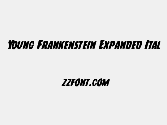 Young Frankenstein Expanded Italic