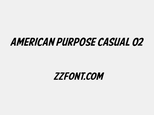 American Purpose Casual 02