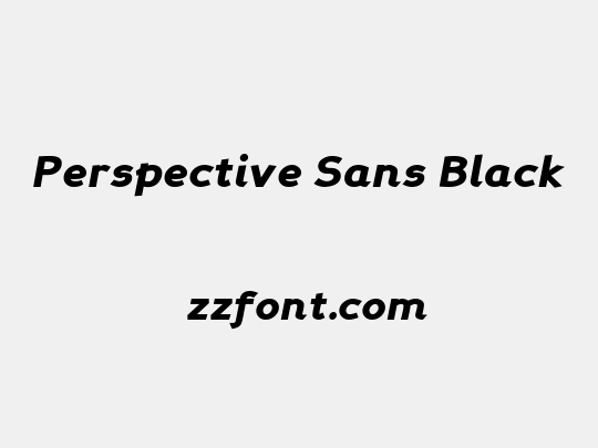 Perspective Sans Black