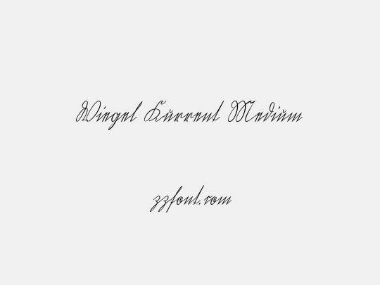 Wiegel Kurrent Medium