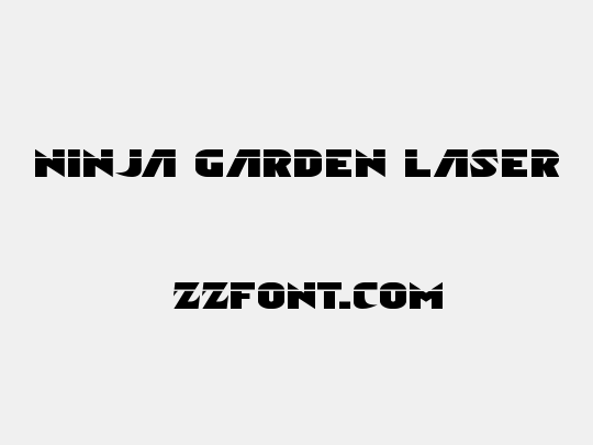 Ninja Garden Laser