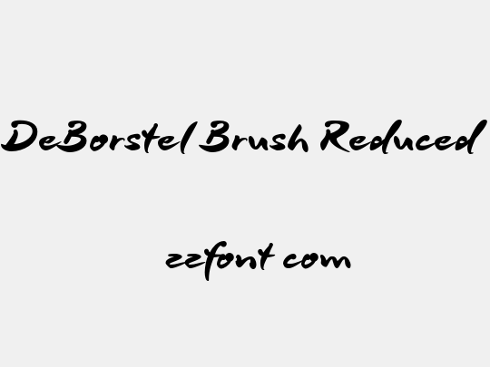 DeBorstel Brush Reduced