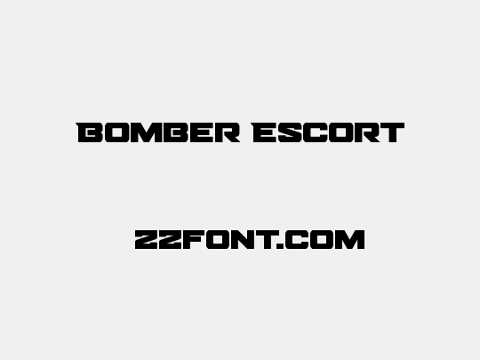 Bomber Escort