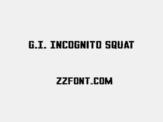 G.I. Incognito Squat