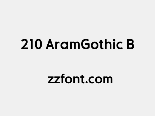 210 AramGothic B