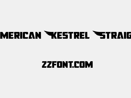 American Kestrel Straight