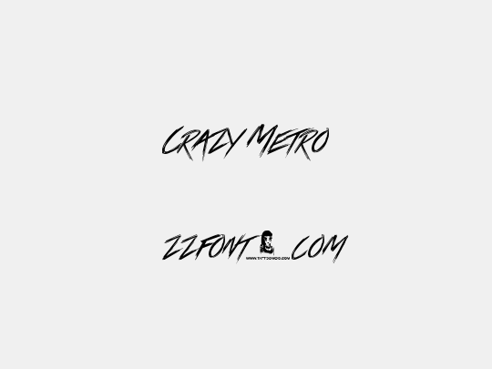 Crazy Metro