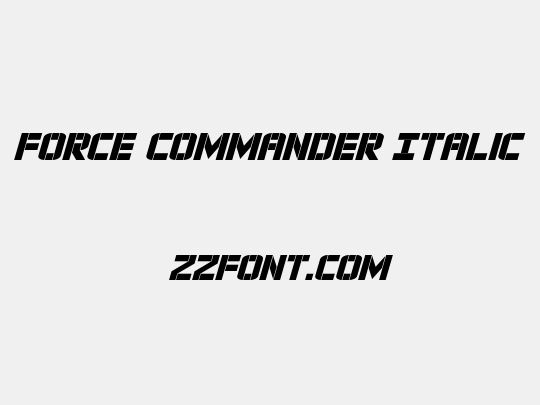 Force Commander Italic
