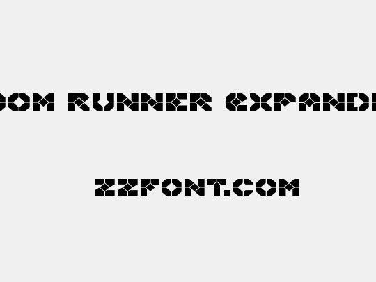 Zoom Runner Expanded