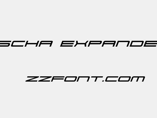 911 Porscha Expanded Italic