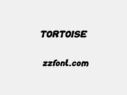 TORTOISE