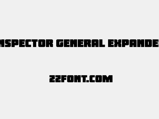 Inspector General Expanded
