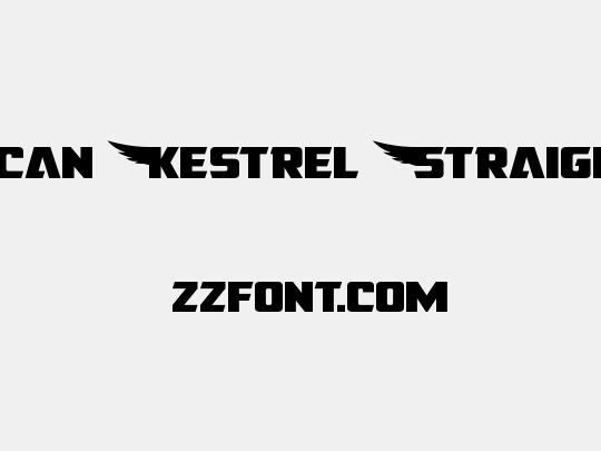 American Kestrel Straight Exp