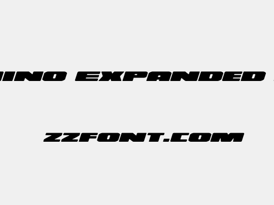 Illumino Expanded Italic