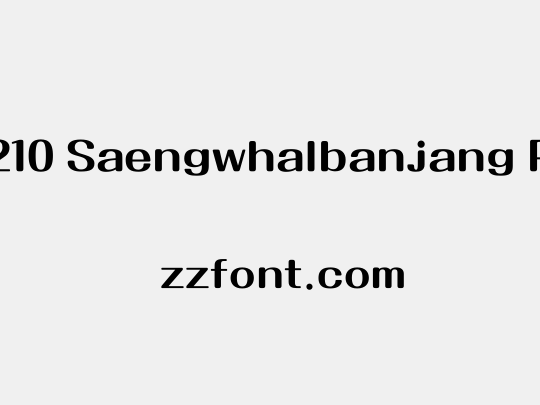 210 Saengwhalbanjang R
