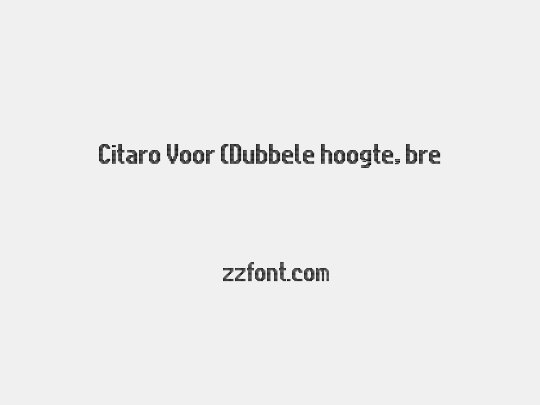 Citaro Voor (Dubbele hoogte, breed)