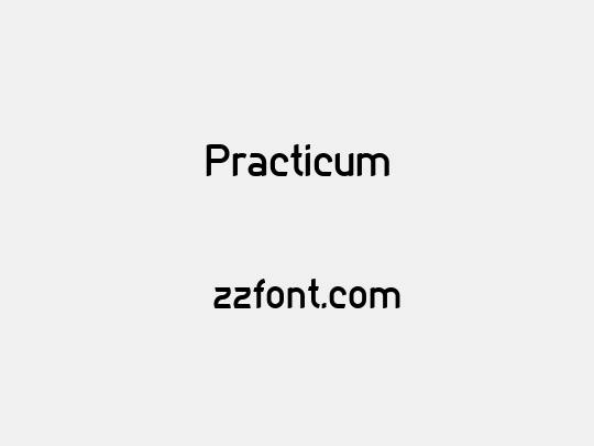 Practicum