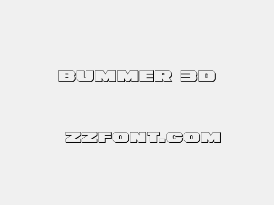 Bummer 3D