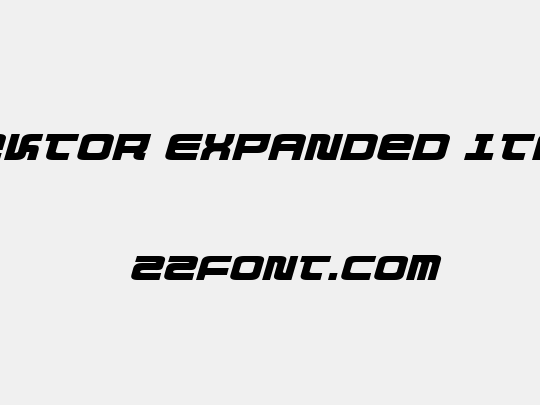 Direktor Expanded Italic