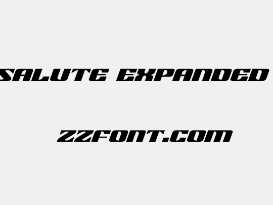 21 Gun Salute Expanded Italic