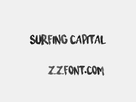 Surfing Capital