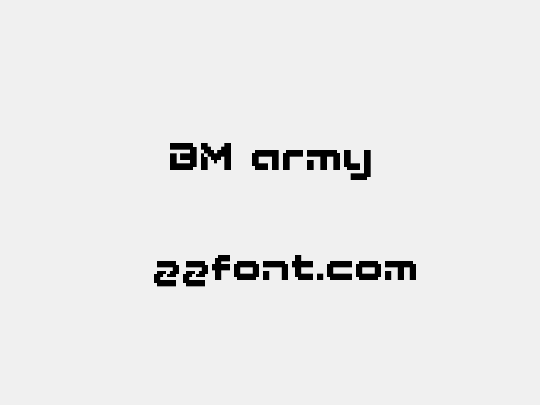 BM army
