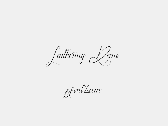 Leathering Demo
