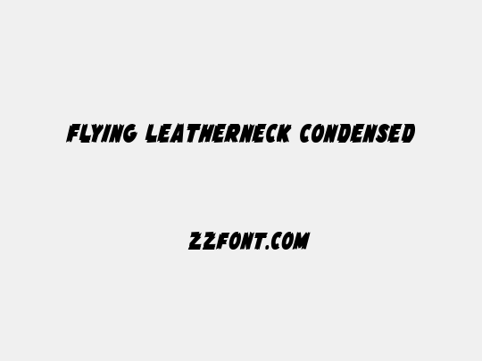 Flying Leatherneck Condensed