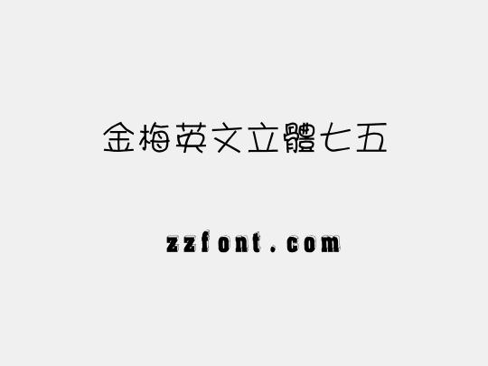 金梅英文立體七五