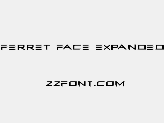 Ferret Face Expanded