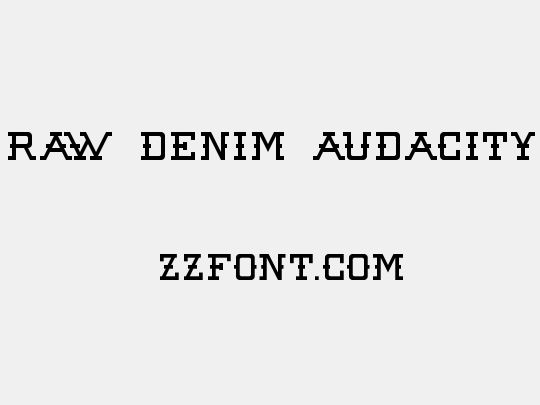 Raw Denim Audacity