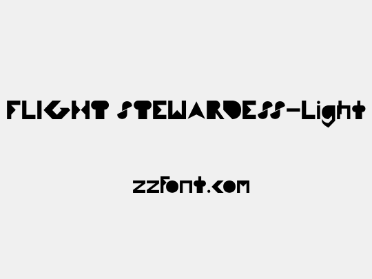 FLIGHT STEWARDESS-Light
